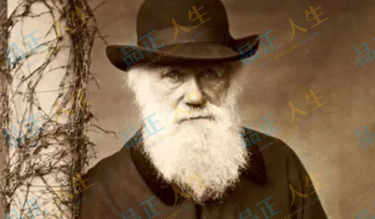 查尔斯·达尔文：重塑人类自我认知的博物学家（进化论）